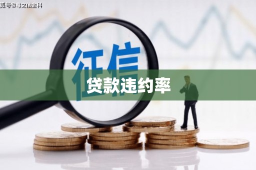 汉南贷款违约率