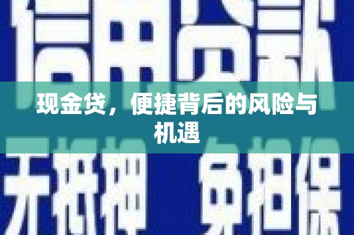 汉南现金贷，便捷背后的风险与机遇