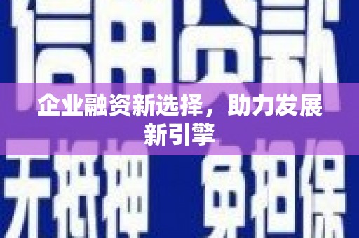 汉南企业融资新选择，助力发展新引擎