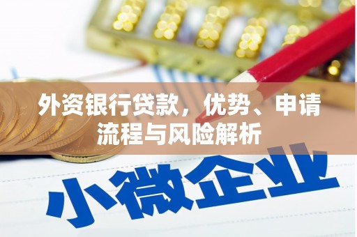 汉南外资银行贷款，优势、申请流程与风险解析