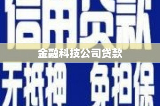 汉南金融科技公司贷款