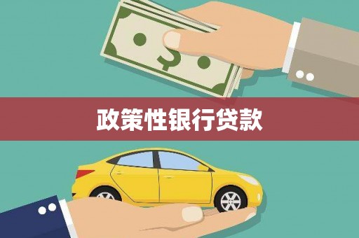 汉南政策性银行贷款