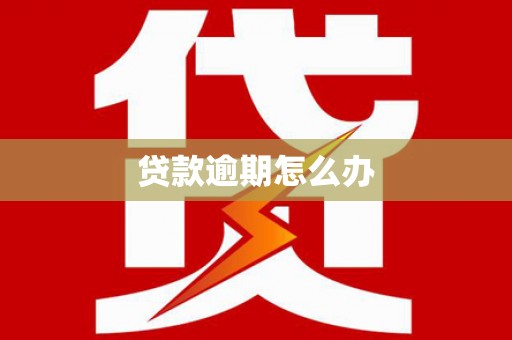 汉南贷款逾期怎么办
