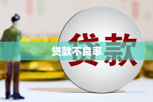汉南贷款不良率