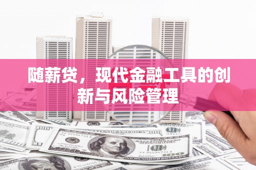 汉南随薪贷，现代金融工具的创新与风险管理