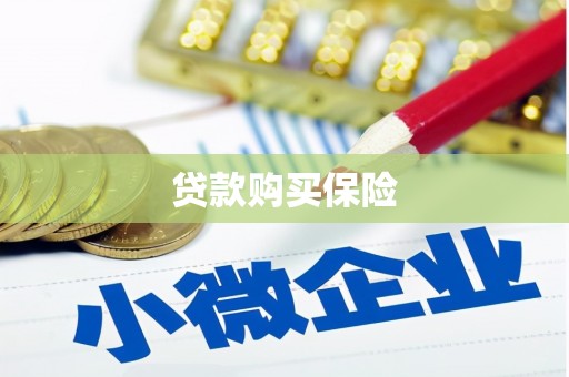 汉南贷款购买保险