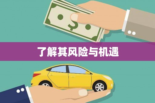 汉南了解其风险与机遇