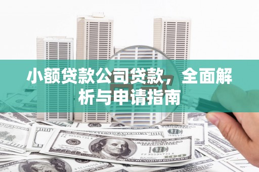汉南小额贷款公司贷款，全面解析与申请指南
