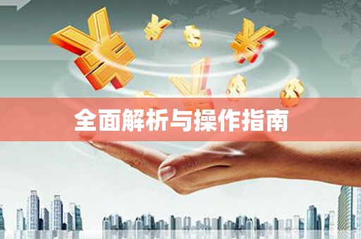汉南全面解析与操作指南
