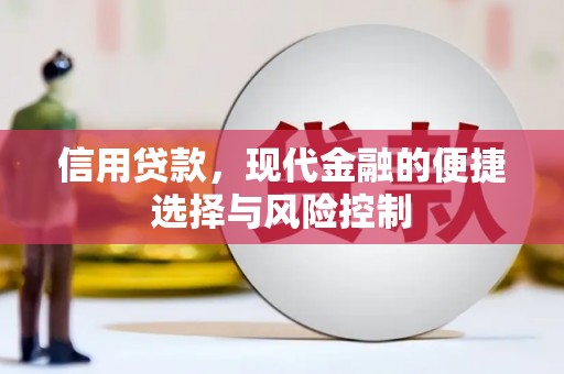 汉南信用贷款，现代金融的便捷选择与风险控制