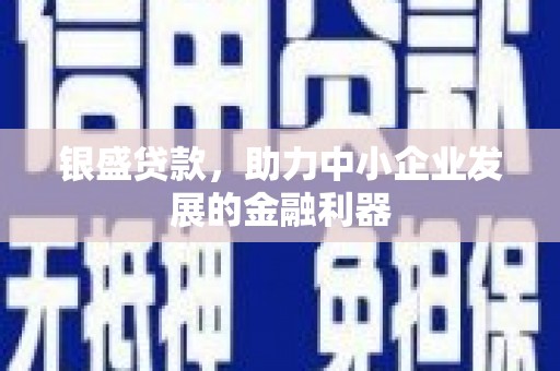 汉南银盛贷款，助力中小企业发展的金融利器