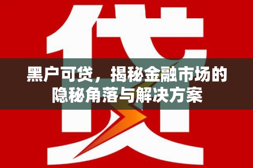 汉南黑户可贷，揭秘金融市场的隐秘角落与解决方案