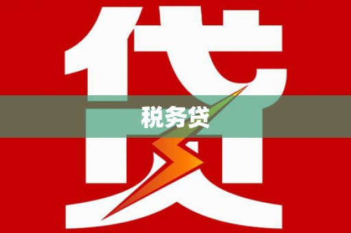 汉南税务贷