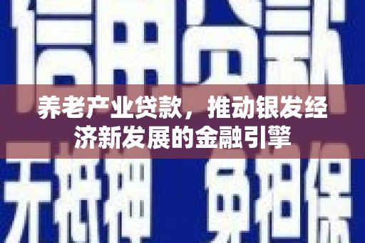 汉南养老产业贷款，推动银发经济新发展的金融引擎