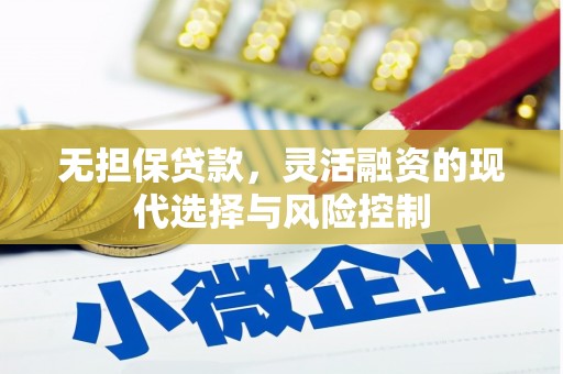 汉南无担保贷款，灵活融资的现代选择与风险控制