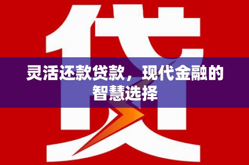 汉南灵活还款贷款，现代金融的智慧选择