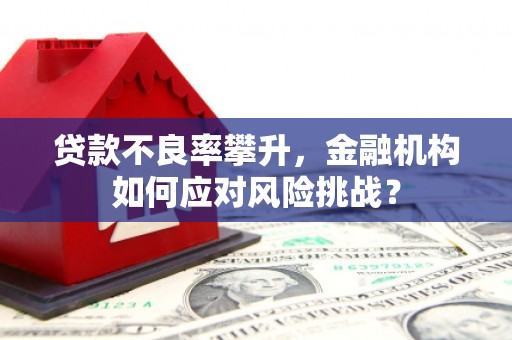 汉南贷款不良率攀升，金融机构如何应对风险挑战？