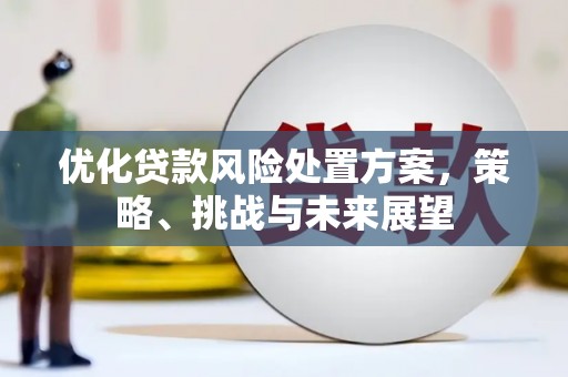汉南优化贷款风险处置方案，策略、挑战与未来展望