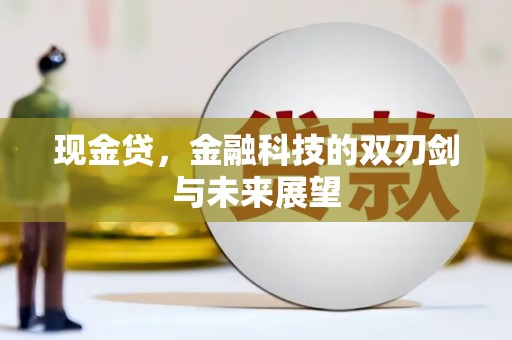 汉南现金贷，金融科技的双刃剑与未来展望