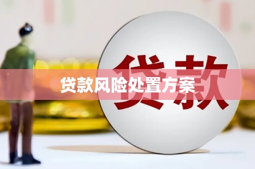 汉南贷款风险处置方案
