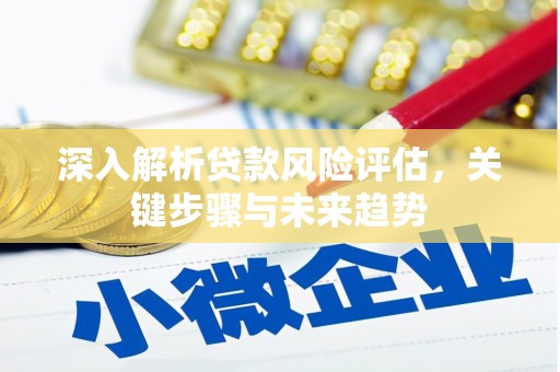 汉南深入解析贷款风险评估，关键步骤与未来趋势