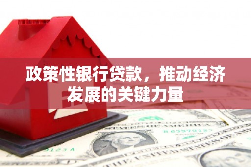 汉南政策性银行贷款，推动经济发展的关键力量