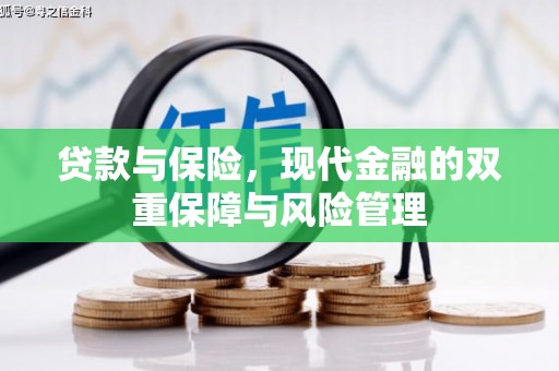 汉南贷款与保险，现代金融的双重保障与风险管理