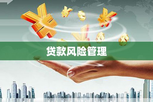 汉南贷款风险管理