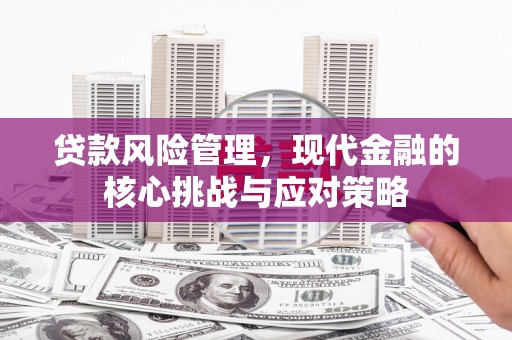 汉南贷款风险管理，现代金融的核心挑战与应对策略