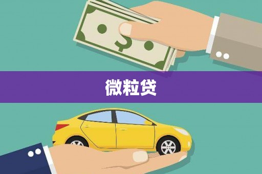 汉南微粒贷