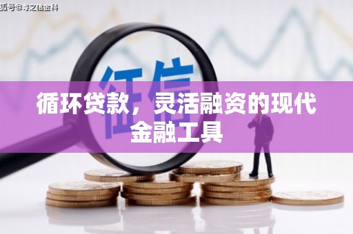 汉南循环贷款，灵活融资的现代金融工具
