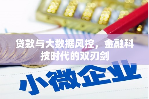 汉南贷款与大数据风控，金融科技时代的双刃剑