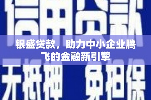 汉南银盛贷款，助力中小企业腾飞的金融新引擎