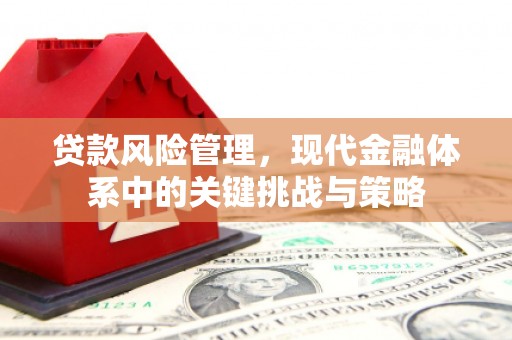汉南贷款风险管理，现代金融体系中的关键挑战与策略