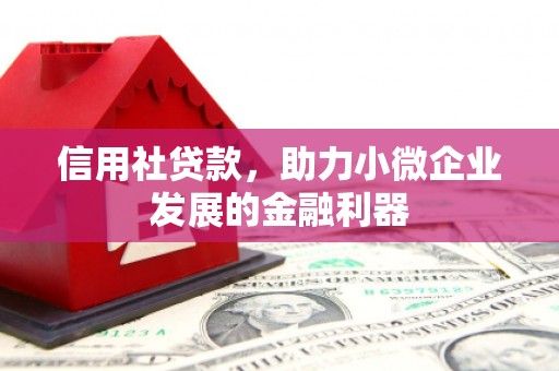 汉南信用社贷款，助力小微企业发展的金融利器