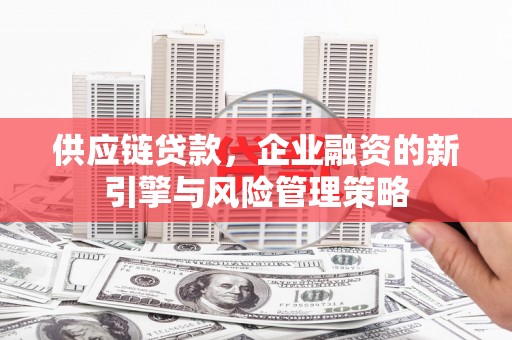 汉南供应链贷款，企业融资的新引擎与风险管理策略