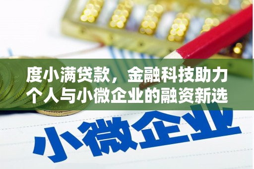 汉南度小满贷款，金融科技助力个人与小微企业的融资新选择