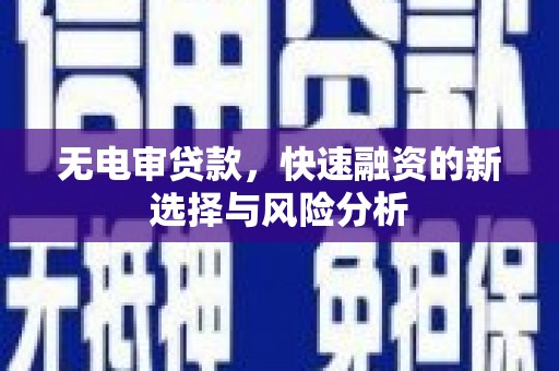 汉南无电审贷款，快速融资的新选择与风险分析