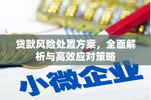 汉南贷款风险处置方案，全面解析与高效应对策略