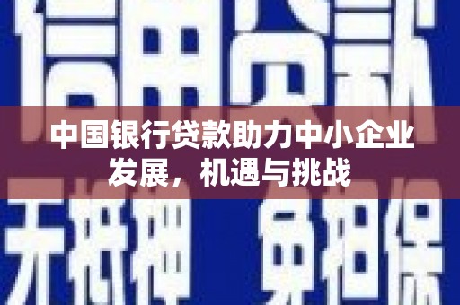 汉南中国银行贷款助力中小企业发展，机遇与挑战