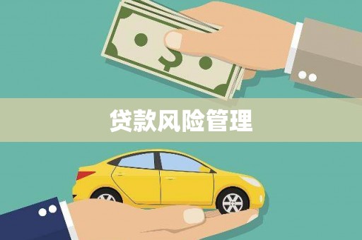 汉南贷款风险管理