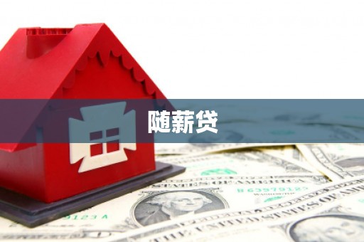 汉南随薪贷