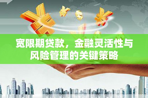 汉南宽限期贷款，金融灵活性与风险管理的关键策略