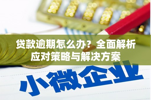 汉南贷款逾期怎么办？全面解析应对策略与解决方案