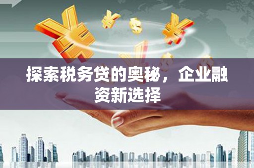汉南探索税务贷的奥秘，企业融资新选择