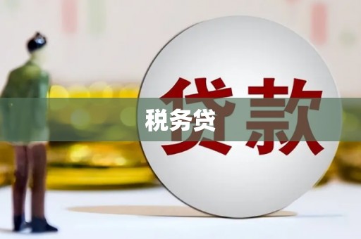汉南税务贷