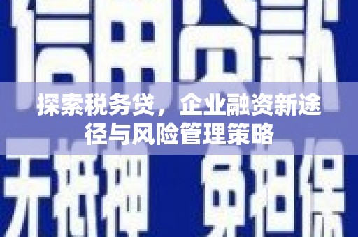 汉南探索税务贷，企业融资新途径与风险管理策略