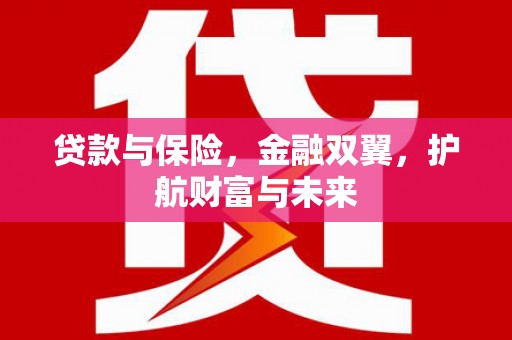 汉南贷款与保险，金融双翼，护航财富与未来