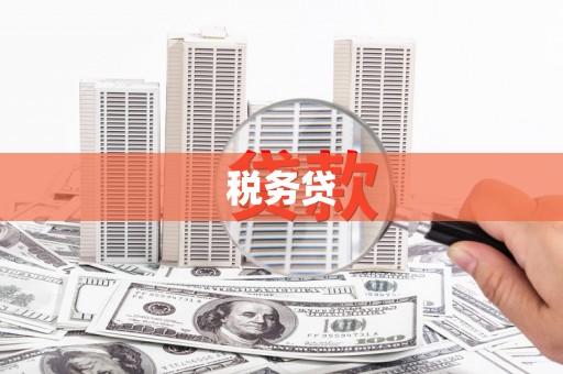 汉南税务贷