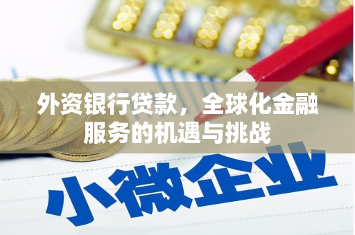 汉南外资银行贷款，全球化金融服务的机遇与挑战